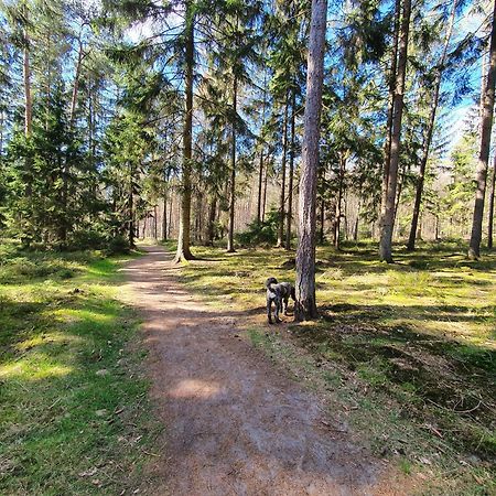 Ferienwohnung Schuberski Lipperreihe Exteriér fotografie