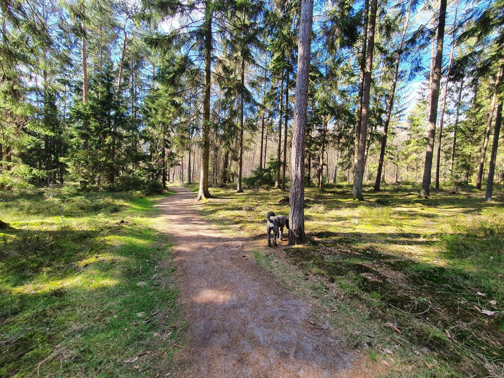 Ferienwohnung Schuberski Lipperreihe Exteriér fotografie